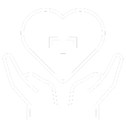 Senior-Specific Wellness Classes